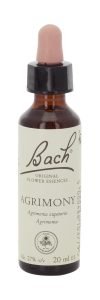 bach bach